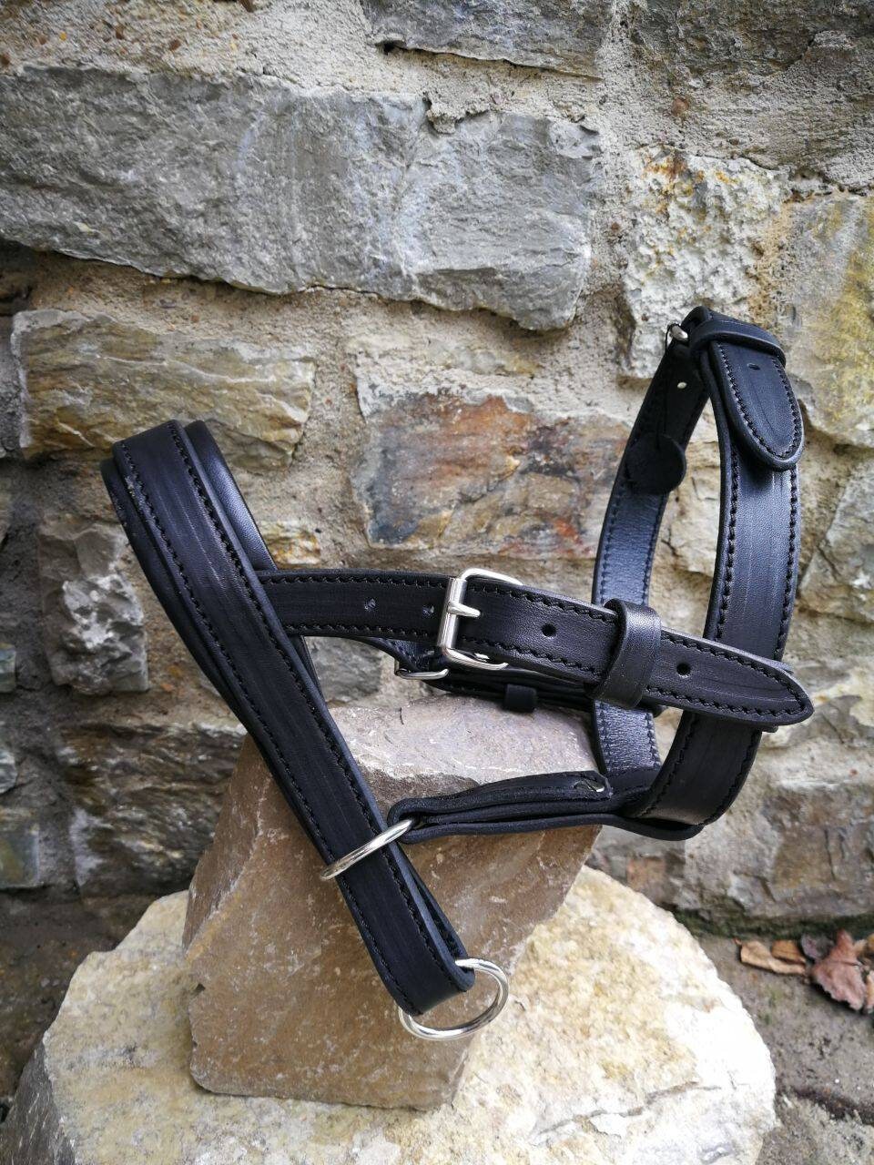 Head Harness for Dog, Leather halti for dog, head harness for...