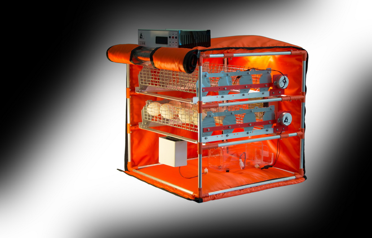 Egg Incubators Bios Pics