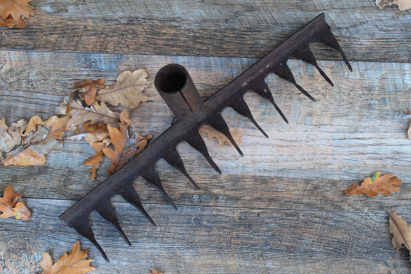 Antique rake head, retro farm tool, soviet metal rake for rustic...