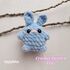 Baby bunny crochet pattern pdf, Amigurumi rabbit keychain, Easter day gift for kids, Easter crochet pattern, beginner friendly crochet pattern, Plush bunny pocket toys handmade, Easter basket stuffer, bunny lover gift, Plush bunny crochet toy, backpack buddies, funny small gift, Easter crochet pattern, Mother day keychains, Girly accessory, bunny keychain, Easter crochet pattern, Easter day favor for class, teacher appreciation, small handmade gift, bag charm crochet, gift for grandmother, matching keychain, gift for couple, lgbtq wedding favor, gift for girlfriend